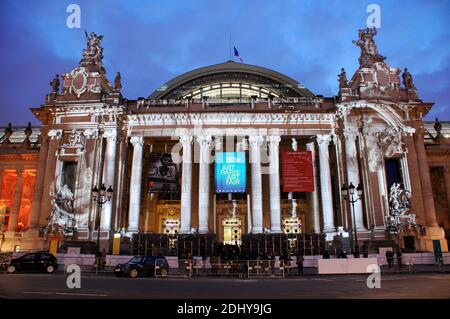 Outside illustration of Paris Art Exhibition 'Art Paris Art Fair' at the Grand Palais during March 31st-April 3rd, in Paris, France, on April 01, 2016. This year, South Korea guest of honour. Photo by Alain Apaydin/ABACAPRESS.COM Stock Photo