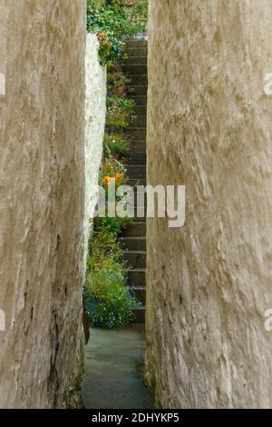 Narrow alley between houses with stairway covered with flowers Stock Photo