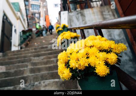 Choryang Ibagu-gil old stairs road in Busan, Korea Stock Photo