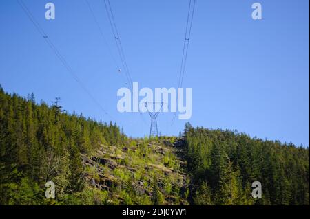 Power lines and tower passing through forest against clear blue sky in British Columbia, Canada. Stock Photo