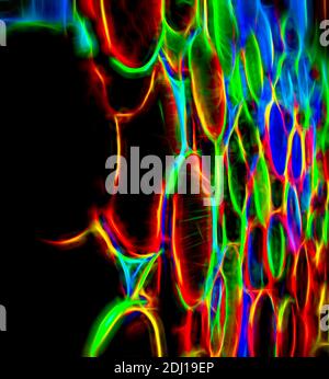 Colorful circles abstract photography display Stock Photo