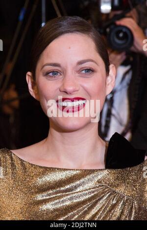 Marion Cotillard - CANNES 2016 - DESCENTE DU FILM 'MAL DE PIERRES