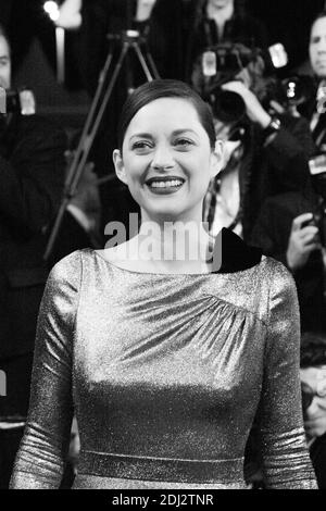 Marion Cotillard - CANNES 2016 - DESCENTE DU FILM 'MAL DE PIERRES