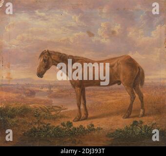 Old Billy, a Draught Horse, Aged 62, Charles Towne, 1763–1840, British, 1823, Oil on panel, Support (PTG): 4 x 4 3/8 inches (10.2 x 11.1 cm), clouds, dry, landscape, pasture, portrait, rowboat, water Stock Photo