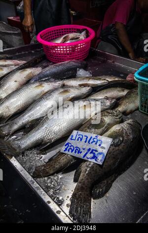 A man and woman moor their delivery boat and begin unloading a shipment of fresh fruit in the Damneon floating market. Stock Photo