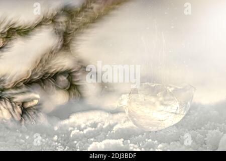 Frozen bubble with ice crystals on snow with fir branch at sunset. Christmas background. Stock Photo