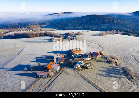 Farms in the middle of meadows covered with hoar frost, agricultural landscape, From above, aerial view, drone photo, Mondsee, Mondseeland Stock Photo