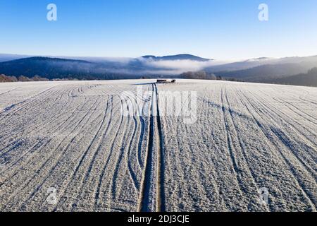 Field path and lanes on field covered with hoarfrost, structure, drone shot, aerial view, Mondseeland, Salzkammergut, Upper Austria, Austria Stock Photo
