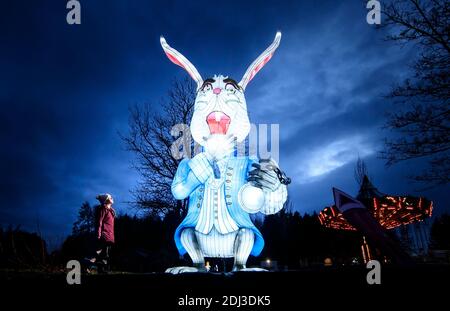 Maja-Isobel Lawson looks up at a illuminated lantern depicting the ...