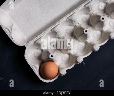 The single last brown egg is in the carton box Stock Photo