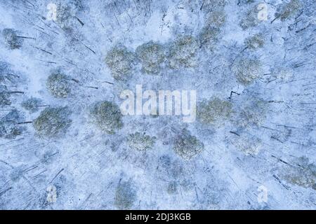 Aerial view of the winter snow covered forest and frozen lake from ...