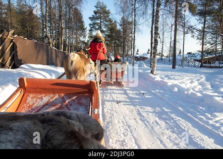 Rovaniemi, Lapland, Finland - February 29, 2020: reindeer sled tour in Santa Claus Village, in Rovaniemi Stock Photo