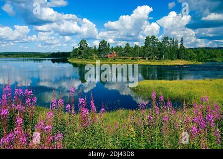 Skandinavien, Finnland, Europa, Lappland, Landschaft im Pallas-Ounas-Tunturi-Nationalpark, Fluss Ounasjoki bei Rattama Stock Photo