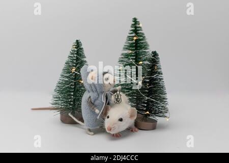 White little rat among beautiful holiday trees in the forest. A toy in the form of a plush rat Stock Photo