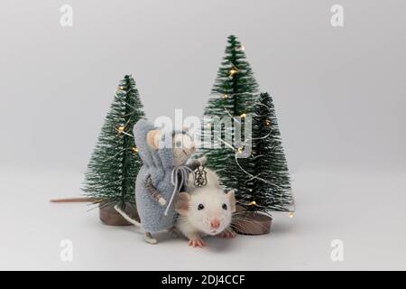 White little rat among beautiful holiday trees in the forest. A toy in the form of a plush rat Stock Photo