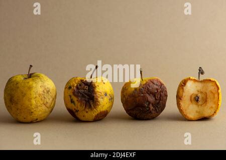 rotten, apple, fruit, bad, old, food, white, spoiled, organic, nature, isolated, natural, background, wrinkled, damaged, decay, fungus, yellow, red, Stock Photo