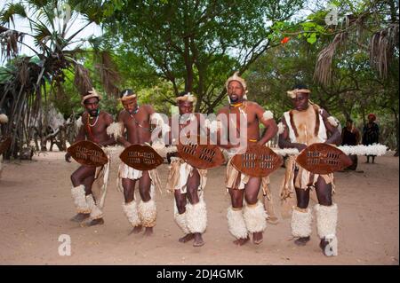 DumaZulu, Duma Zulu, Traditional Zulu village, Museums village, KwaZulu ...