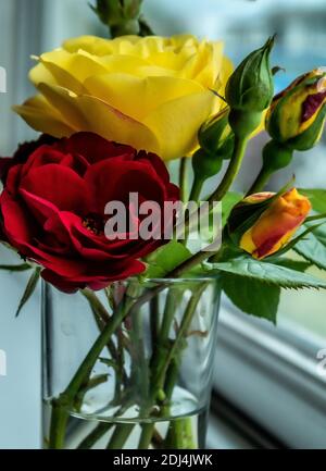 Flowers Stock Photo