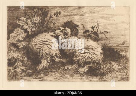 Print Made By J S Cooper Active 15 British Sheep Ca 10 Drypoint And Etching On Moderately Thick Slightly Textured Cream Laid Paper Animal Art Animals Ewes Animals Grass