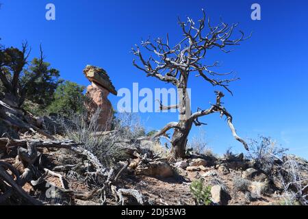 Hiking in Red Rock State Park, near Gallup in Arizona. Stock Photo