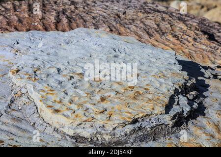 Hiking in Red Rock State Park, near Gallup in Arizona. Stock Photo