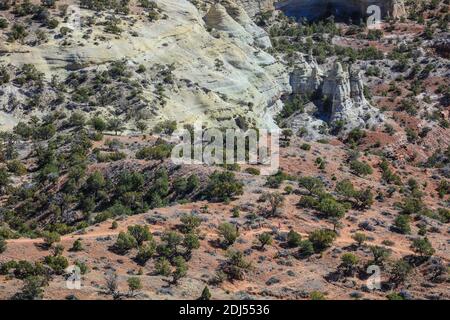 Hiking in Red Rock State Park, near Gallup in Arizona. Stock Photo