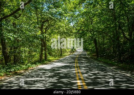 A midsummer view of Race Point Road at Province Lands on Cape Cod, outside Provincetown, Massachusetts. Stock Photo