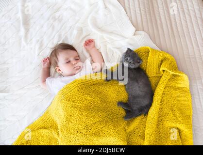 Close up portrait of a beautiful sleeping baby and kitten Stock Photo