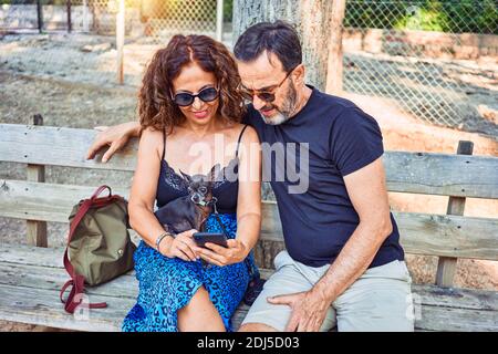 Middle age couple smiling happy using smartphone. Sitting on the bench with chihuahua dog at park Stock Photo