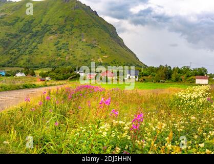 Lofoten Summer Landscape .Lofoten is an archipelago in the county of Nordland, Norway. Is known for a distinctive scenery with dramatic mountains Stock Photo