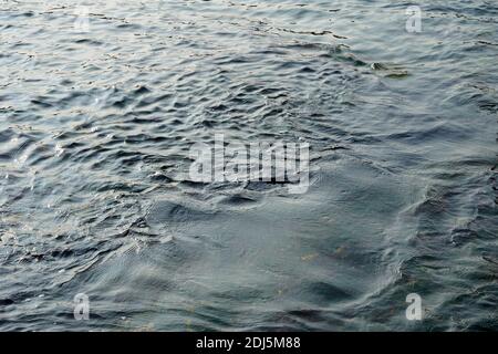 Wavy blue sea. Great size for background Stock Photo
