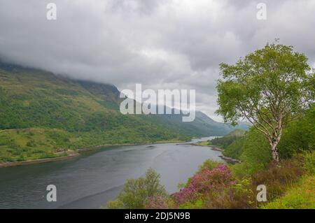 Panorama of lake surrounded by bright green trees. Concept: famous and typical landscapes of Scotland Stock Photo