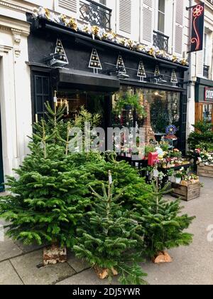 Paris, France, French Flower shop, selling Christmas Trees outside, Street Store Fronts, Christmas in Paris Stock Photo