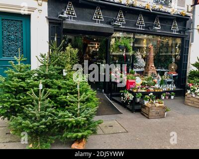 Paris, France, French Flower shop, selling Christmas Trees outside, Street Store Fronts, Christmas in Paris Stock Photo