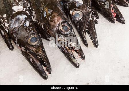 Black scabbard in fish market Funchal at Portugese Madeira Island Stock Photo