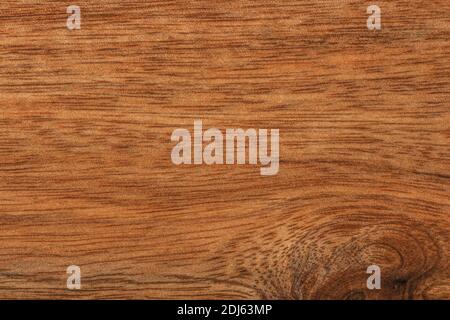 Beech wood surface texture close up as background Stock Photo