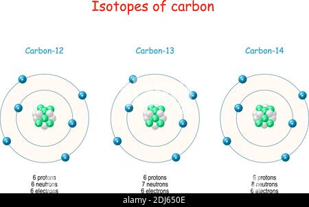 Carbon isotopes. Atomic Structure from Carbon-12 to Carbon-14. Atomic Particles: protons, neutrons, electrons. Vector illustration for science Stock Vector