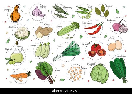 Sketch of different vegetables. Recipe stickers. Set of vegetables isolated on a white background. Vector Stock Vector