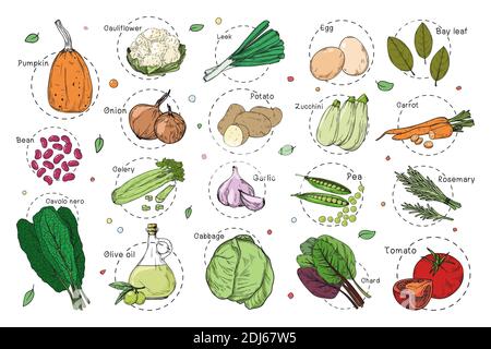 Sketch of different vegetables. Recipe stickers. Set of vegetables isolated on a white background. Vector Stock Vector