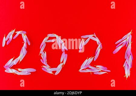 Inscription 2021 with fresh petals on a red background. New Year decoration with purple flower petals. Nature concept. Top view Stock Photo