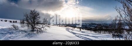 Beautiful panorama on mountain slope in Lapland. Cold day with Sun and clouds, view at snowy wild landscape with rare birches. Excellent visibility at Stock Photo