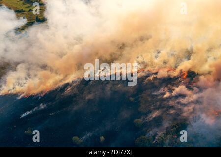 Fire in forest, burning trees and grass with smoke, aerial top view from drone. Natural fire or wildfire. Stock Photo