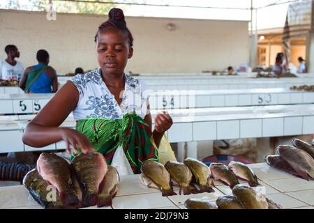 Fischmarkt, Katima Mulilo, Caprivi, Namibia, MR: NO Stock Photo