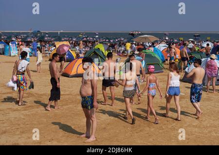 Katta kokrak va eshak bilan fotosuratlar Internetda siyish videolarini tomosha qilish