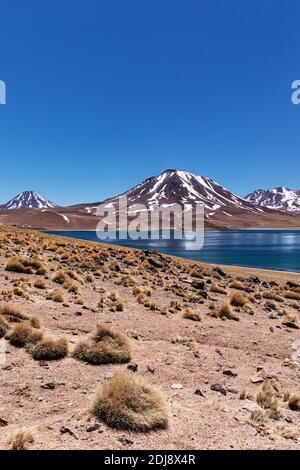 Laguna Miscanti, a brackish lake at an altitude of 4,140 meters in the Andean Central Volcanic Zone, Chile. Stock Photo