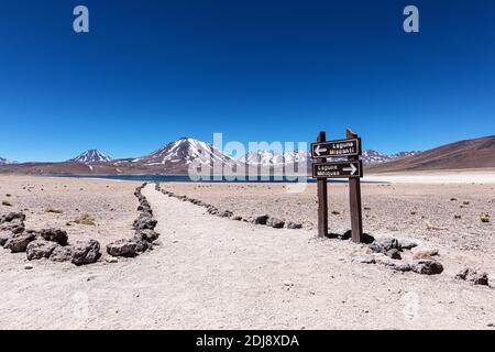 Path to Laguna Miscanti, a brackish lake at an altitude of 4,140 meters in the Andean Central Volcanic Zone, Chile. Stock Photo