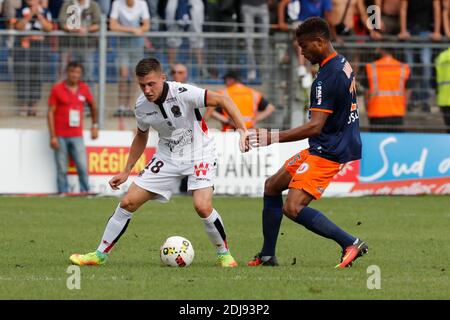 Montpellier's Steve Mounie battling Nice's Remi Walter during the French First League soccer match, Montpellier vs Nice in Stade de la Mosson, Montpellier, France on September 18th, 2016. Photo by Henri Szwarc/ABACAPRESS.COM Stock Photo