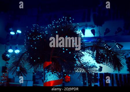 Blue Christmas indoor ornate . Office interior New Year Decoration Stock Photo