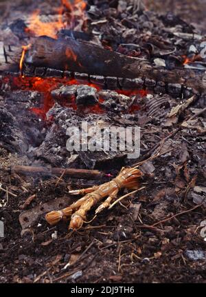 Mystical concept with voodoo objects, book and straw doll, esoteric, gothic and occult background. Stock Photo