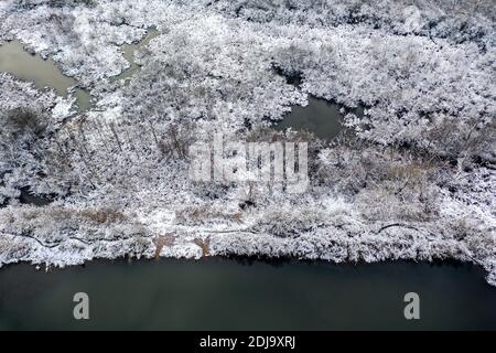 snow-covered lake shore at winter time. aerial top drone view from above Stock Photo